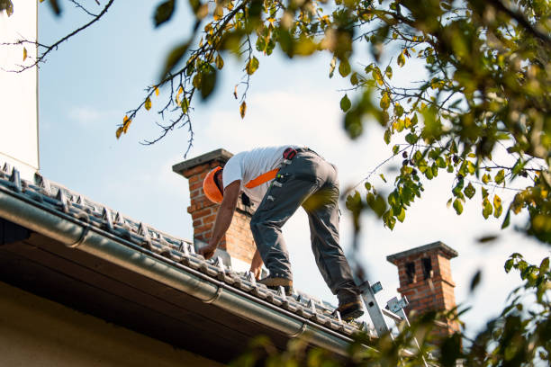 Roof Moss and Algae Removal in Mountain City, TN