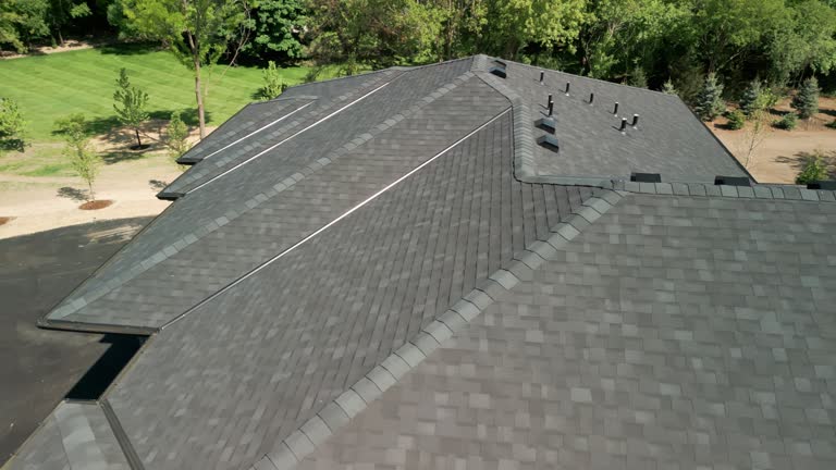 Best Roof Moss and Algae Removal  in Mountain City, TN