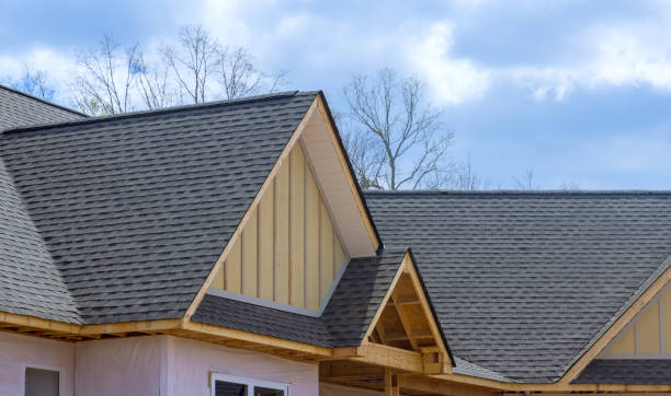 Best Roof Insulation Installation  in Mountain City, TN